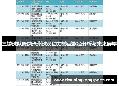 三镇球队吸纳沧州球员助力转型路径分析与未来展望
