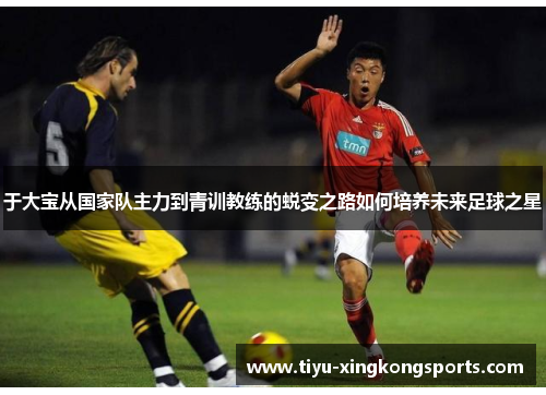 于大宝从国家队主力到青训教练的蜕变之路如何培养未来足球之星