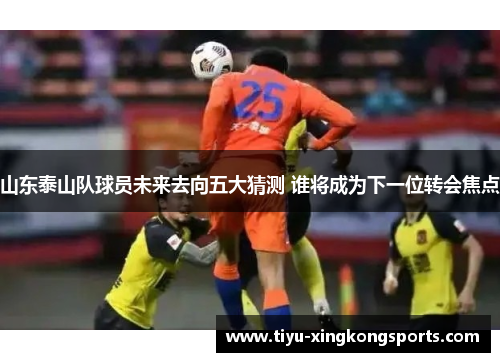 山东泰山队球员未来去向五大猜测 谁将成为下一位转会焦点