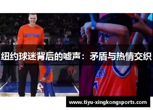 纽约球迷背后的嘘声：矛盾与热情交织