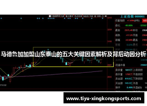 马德鲁加加盟山东泰山的五大关键因素解析及背后动因分析