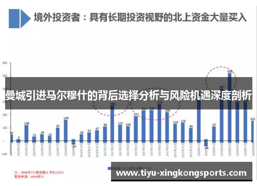 曼城引进马尔穆什的背后选择分析与风险机遇深度剖析