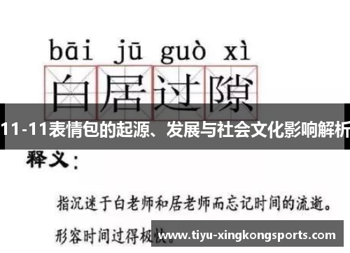 11-11表情包的起源、发展与社会文化影响解析