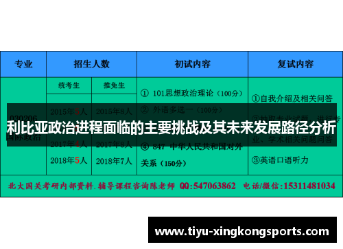 利比亚政治进程面临的主要挑战及其未来发展路径分析