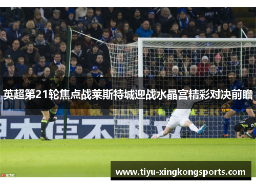 英超第21轮焦点战莱斯特城迎战水晶宫精彩对决前瞻