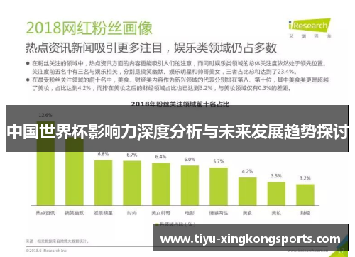 中国世界杯影响力深度分析与未来发展趋势探讨