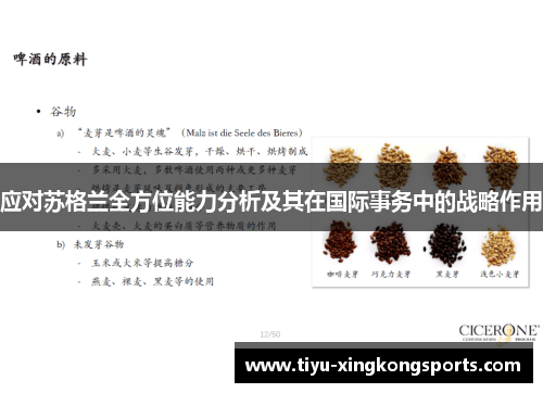 应对苏格兰全方位能力分析及其在国际事务中的战略作用