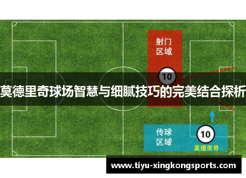 莫德里奇球场智慧与细腻技巧的完美结合探析